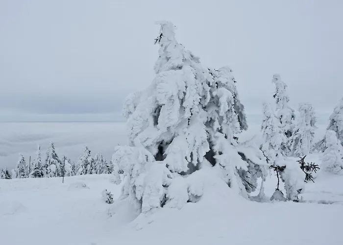 Boehme 아파트 마리엔스베르크